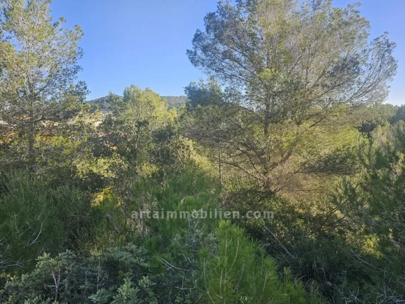 Plot in Son Servera — photo 1