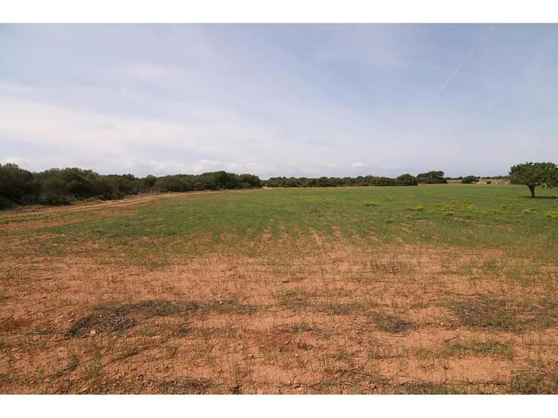 Rustic house for sale in Llucmajor of 200 m2 — photo 10