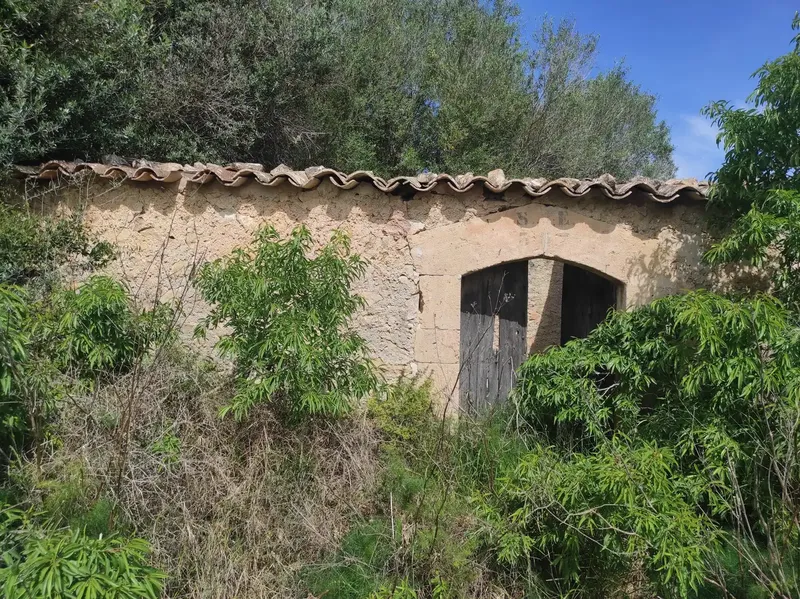For Sale: Magnificent Estate of 24,800m2 with Project for a 350m2 Single-Family Home in Sineu — photo 4