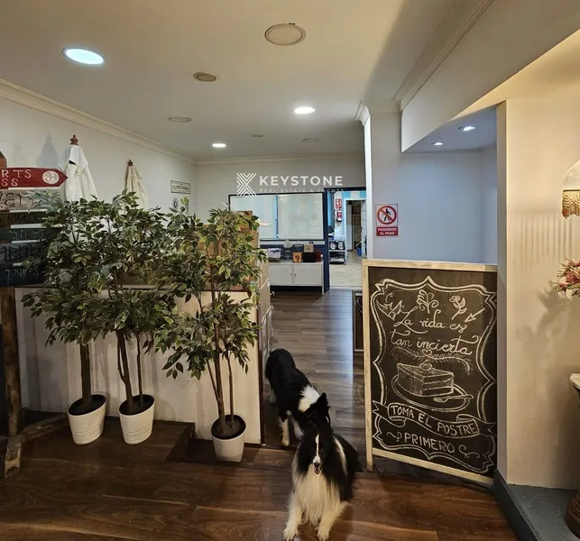 Commercial premises — photo 7