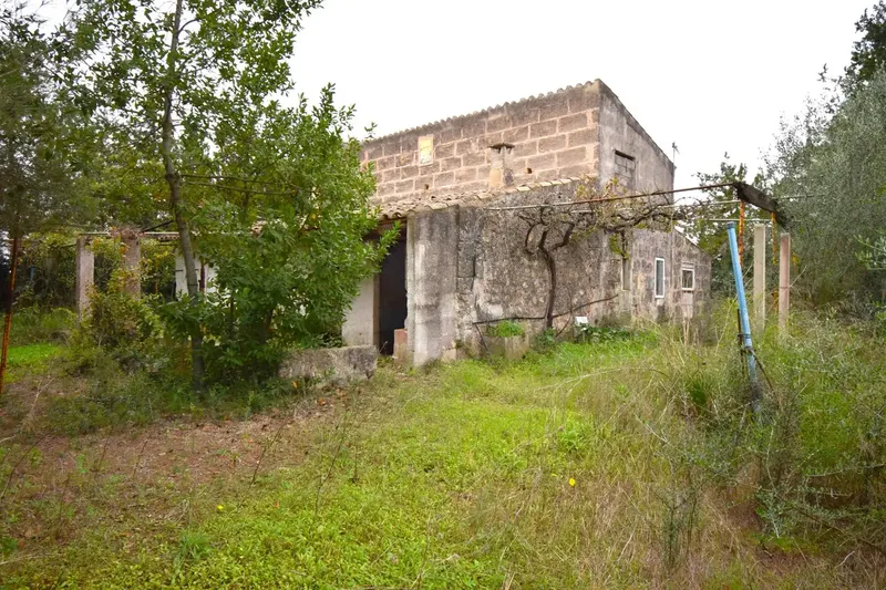 Rustic estate with a plot of 50,419 m² in Muro — photo 2