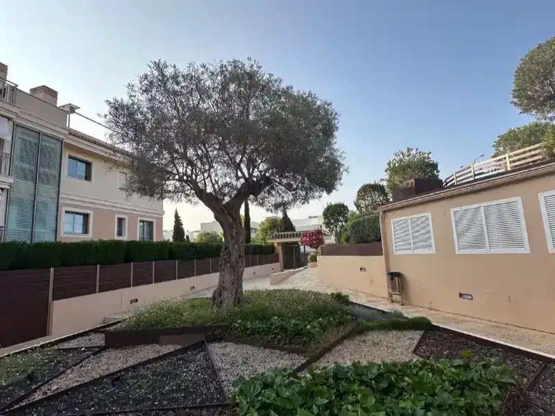 Particular vende lujoso ático en Residencial Son Puig a las puertas del bosque de Son Quint, el gran parque natural del ayuntamiento de Palm — photo 1