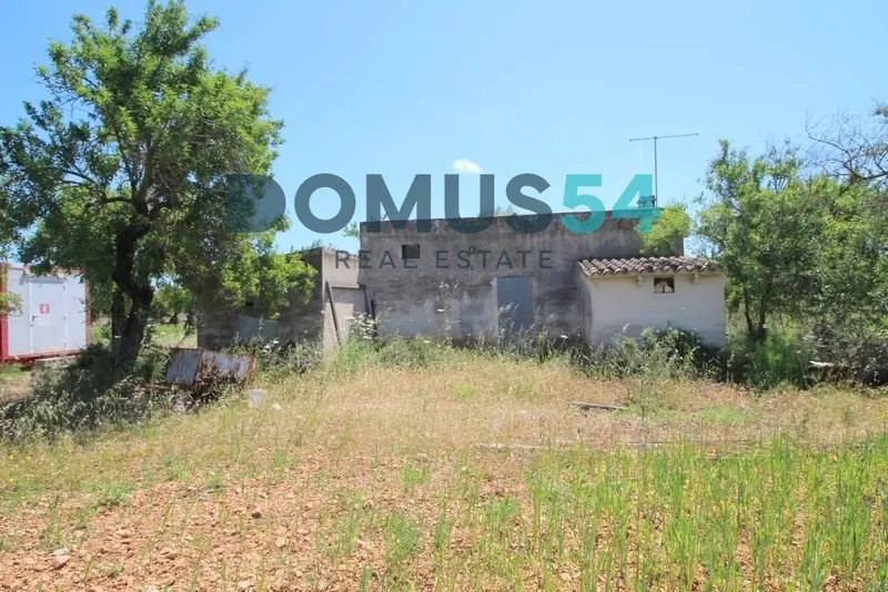 plot in Campanet — photo 10