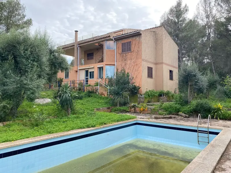 Investment Opportunity — photo 3