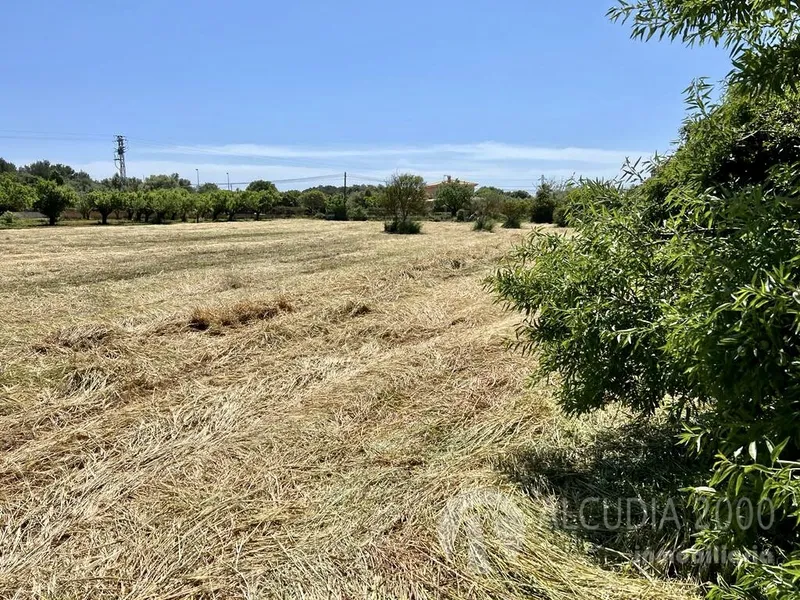 Land — photo 2