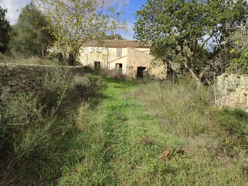 Rustic estate for sale in the municipality of Petra, Son Maimo area, known as Son Metlet — photo 1