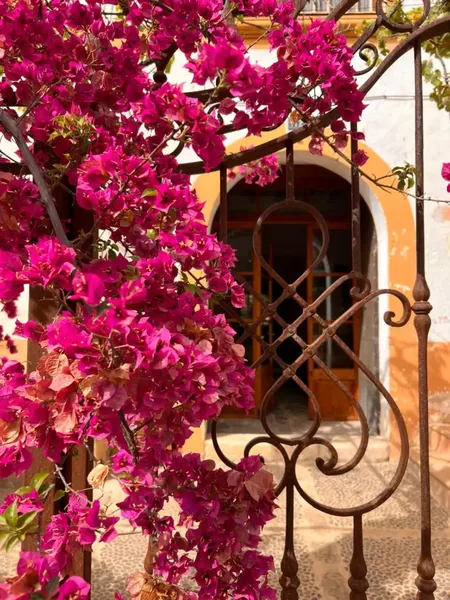 Charming house in Establiments — photo 4