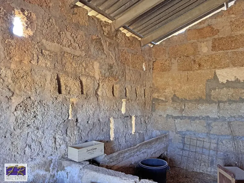 Rustic Finca with Legal Shed and Well in Sa Pobla — photo 2