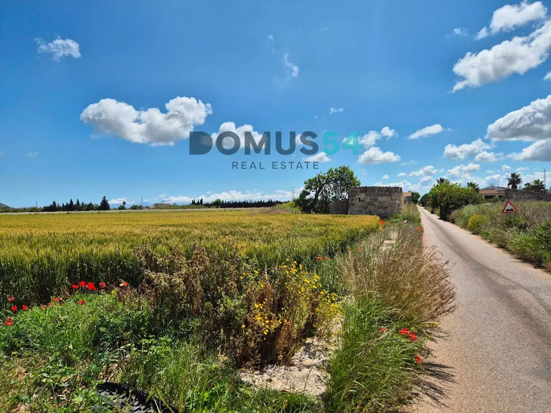 plot in Sa Pobla — photo 4