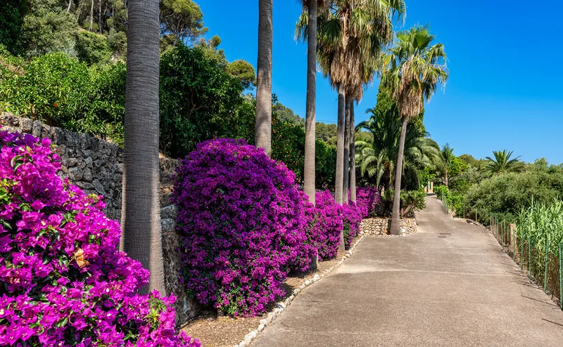 Spectacular finca with pool and guest houses in Sóller — photo 3