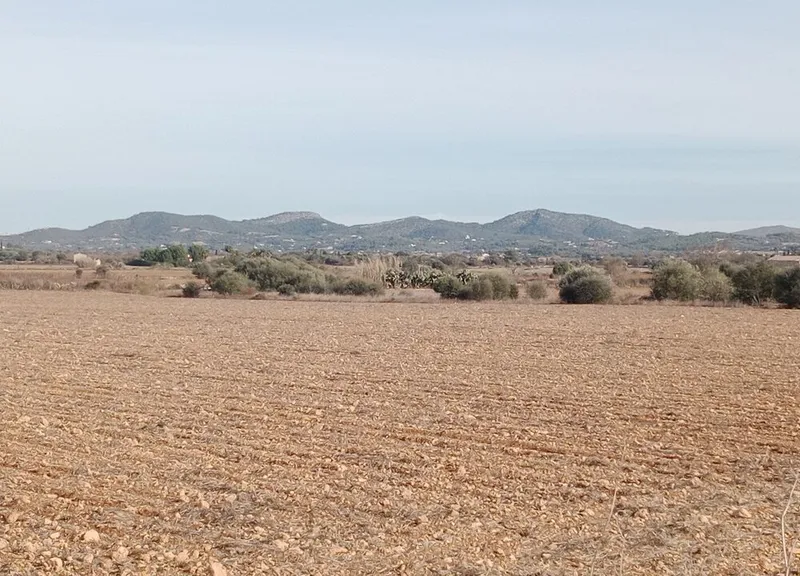Land in Son Valls near Felanitx, Mallorca — photo 5