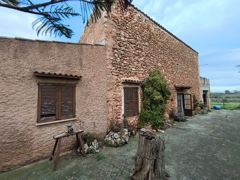 Discover this charming agricultural estate of four cuarteradas, located in a privileged setting with stunning views of the Tramuntana — photo 2