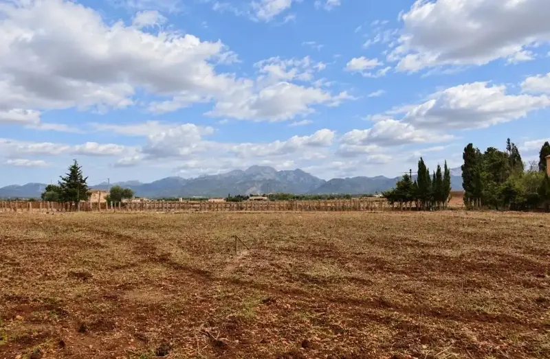 Finca rústica edificable con vistas a la Serra de Tramuntana – Muro. — photo 11