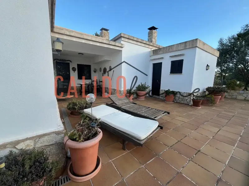 Exclusive! Urban estate for sale in Calvià, free, with single-family home and pool, in a quiet and natural environment. — photo 11