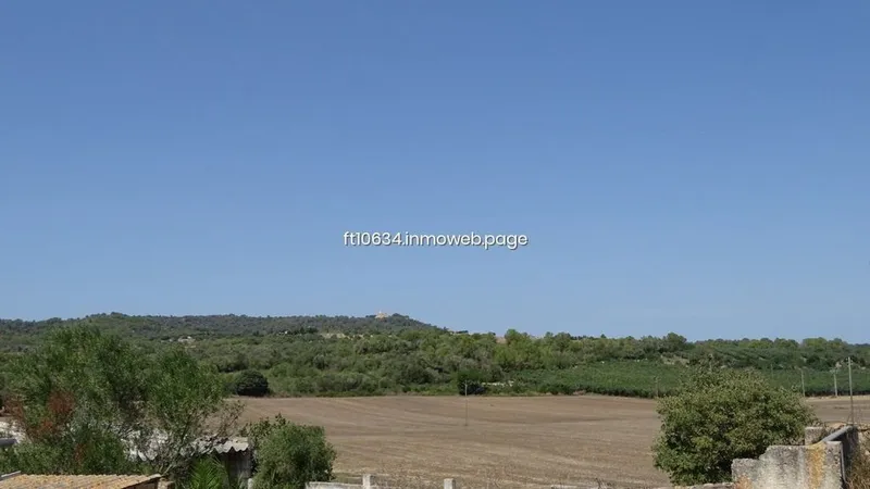 Rural or Farmhouse in Petra, Province of Balearic Islands — photo 6