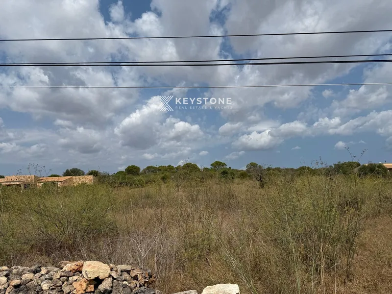 Plot — photo 6