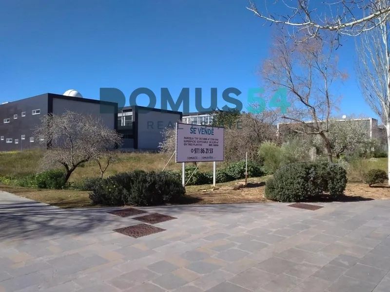 plot in Palma de Mallorca, Palma — photo 9