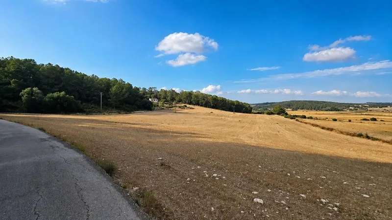 Land in Algaida, Province of Balearic Islands — photo 1