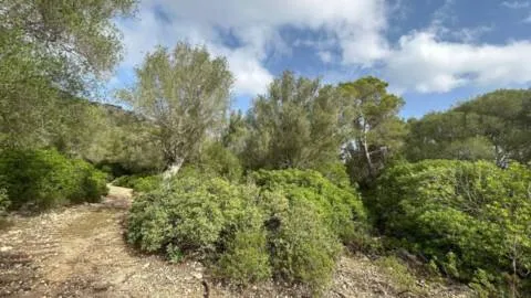 Plot — photo 10