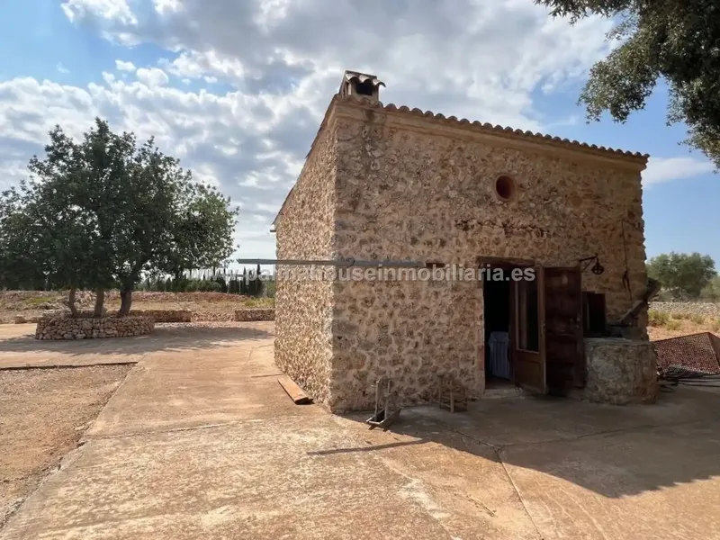 For sale with project for a single-family home, this large estate that Palma House offers you in the very center of the island!! — photo 8