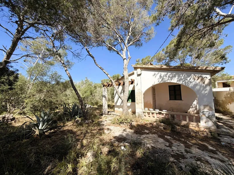 Property No. 1583 - Details — photo 4