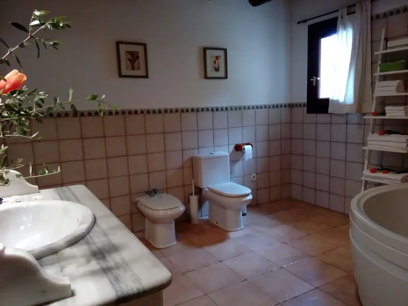 Chalet with pool for rent in Vilafranca de Bonany — photo 7