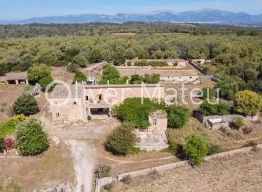 villa in Lloret de Vistalegre — photo 1