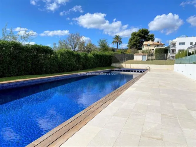 Apartment in Palma de Mallorca, Son Puig area — photo 3