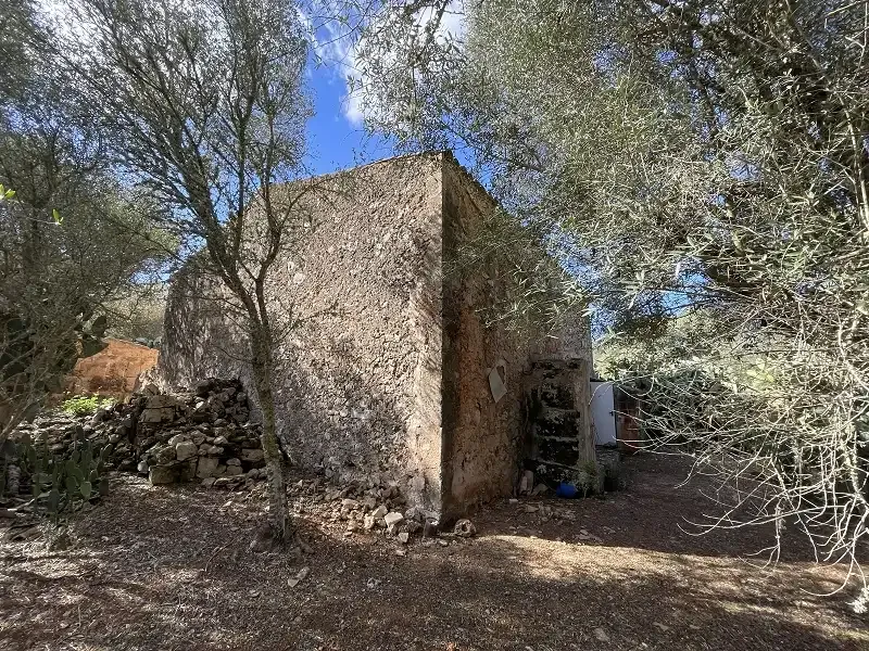 Old finca from 1870 for complete renovation — photo 8