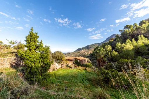 Deià, large rustic estate in the mountains a few minutes from Deià — photo 8