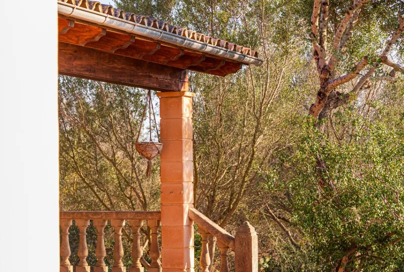 Country House with Land for Sale in Campos, Mallorca — photo 2