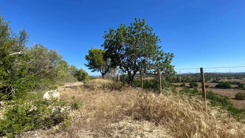 Beautiful building plot near Manacor — photo 12