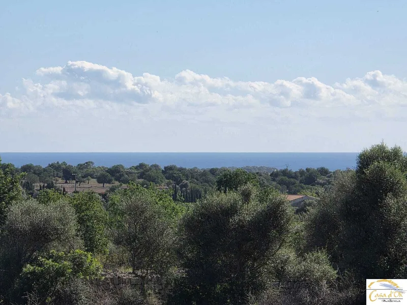 Beautiful building plot with panoramic views and innovative finca project near Porto Cristo — photo 7