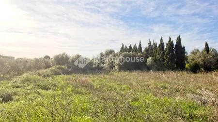 Rustic property - Muro (Muro afueras), Built Surface 512m², Plot Surface 14033m², Terrace Size... — photo 9