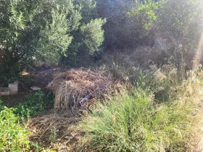Urban Plot of Land - Palma de Mallorca (Son Ferriol), Built Surface 142m², Plot Surface 617m², 2... — photo 8