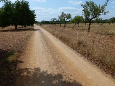 Rural Land - Binissalem, Built Surface 8502 m², Plot Surface 43192 m² — photo 1