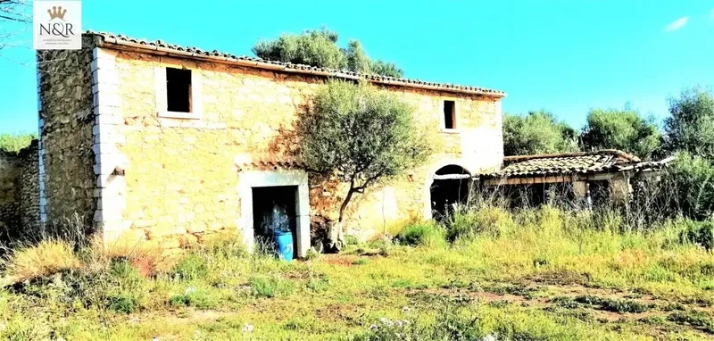 IKV00080/1. Rustic estate in Binissalem, has a 130 m2 construction built before 1956. The plot is 44000 m2, could be expanded — photo 3