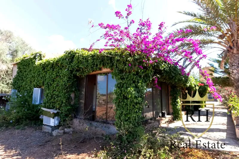 Santanyí is a Spanish town and municipality located in the southeastern part of Mallorca, Balearic Islands. — photo 1