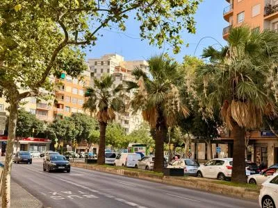 Business Premise - Palma de Mallorca (Foners) , Built Surface 140m 2 . — photo 1