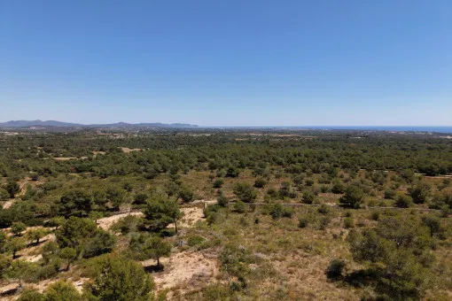 Cala Mandia, Unique plot with spectacular sea views and building project in Manacor — photo 4