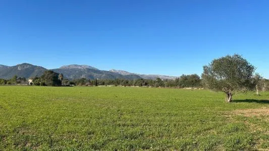 Plot of land - Selva, Plot Surface 14711m² — photo 2