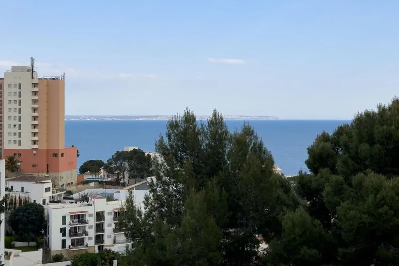Studio for sale in Sant Agustí — photo 1