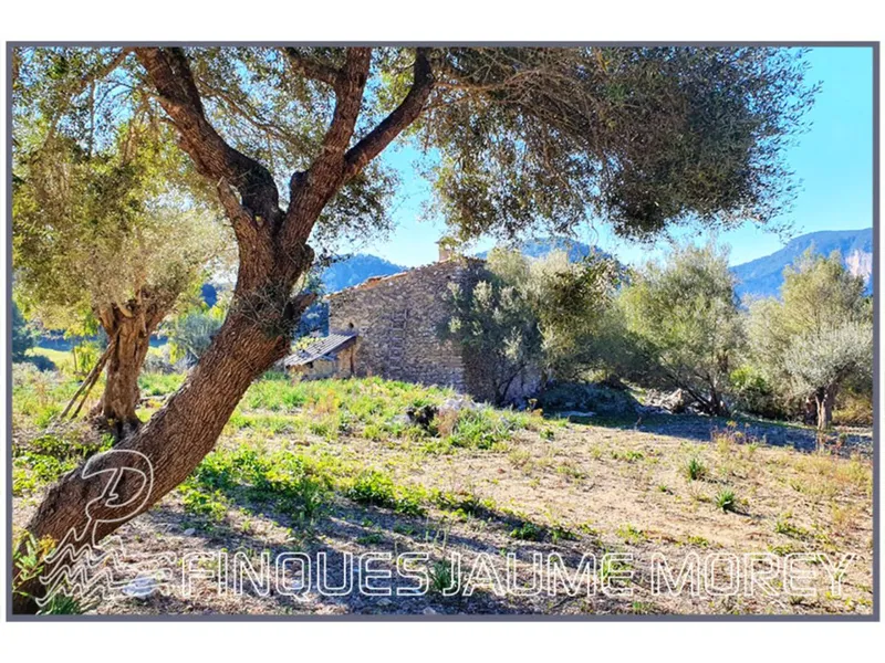 Rustic house — photo 4