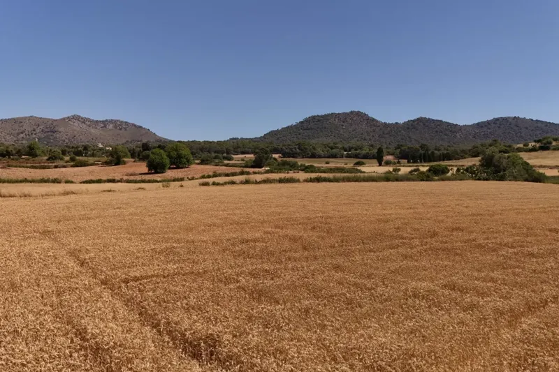 Land for Sale in Sant Llorenç des Cardassar — photo 2