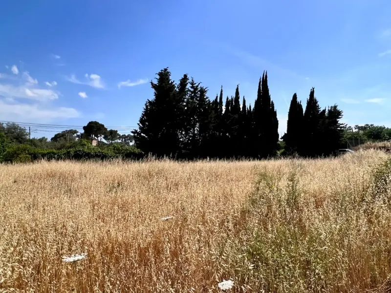On the outskirts of Muro, next to the train station, we have this beautiful rustic estate with about 7,200 m2 of land and about 40 m2 — photo 1