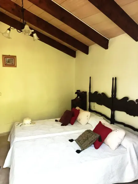 Beautiful finca in Sa Pobla, with 3300 m2, and house of 56 m2, with 1 bedroom, bathroom, living-dining room with fireplace, and kitchen, no electricity, works — photo 9