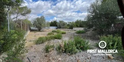 Real estate picture 0 Ref. No. 81226 — photo 3