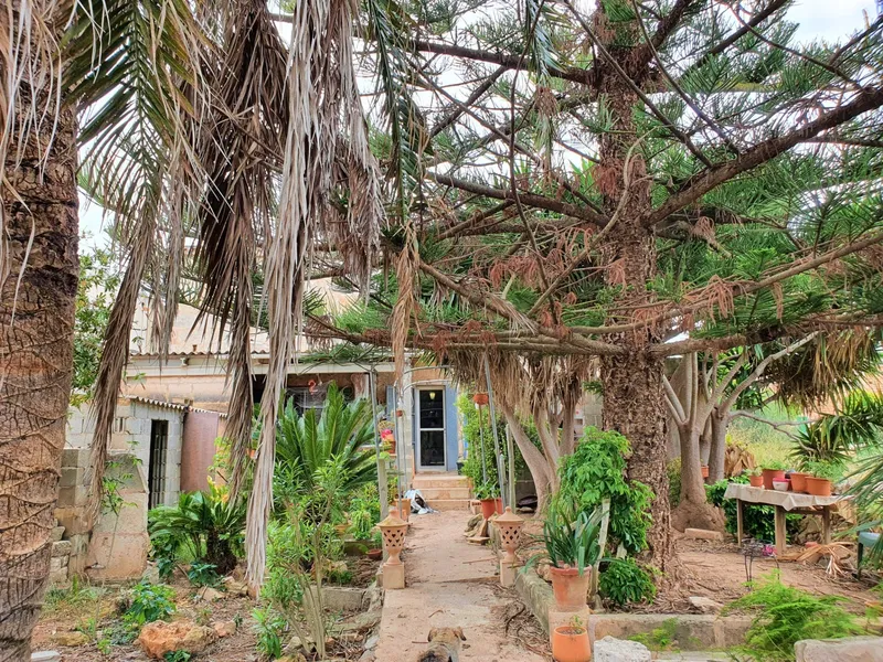 Village house — photo 7
