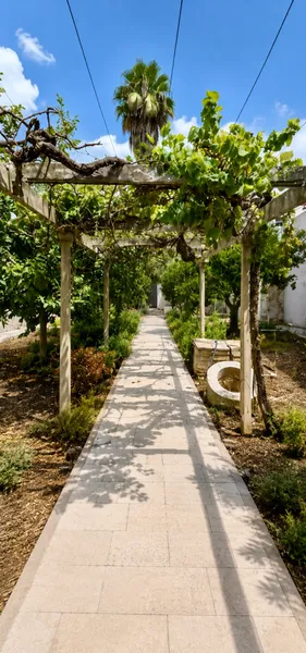 Townhouse in Felanitx for sale, 7 bedrooms and 3 bathrooms. — photo 3