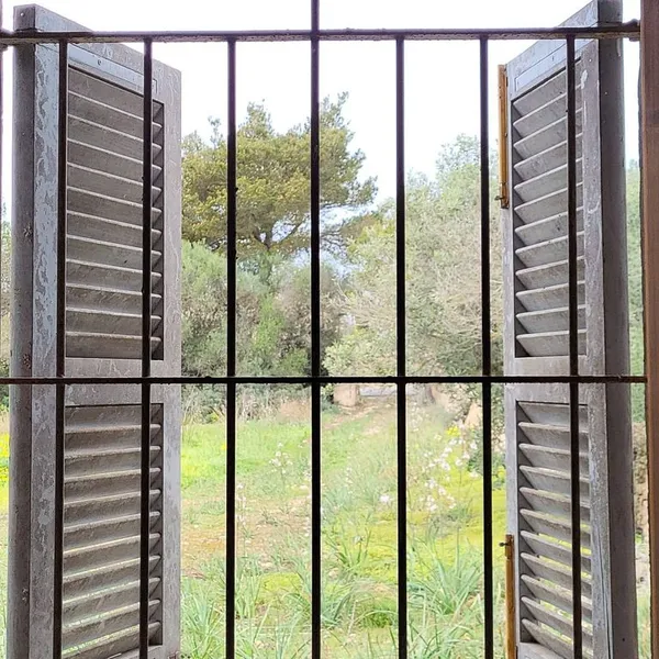 Land in Llucmajor, Province of Balearic Islands — photo 6